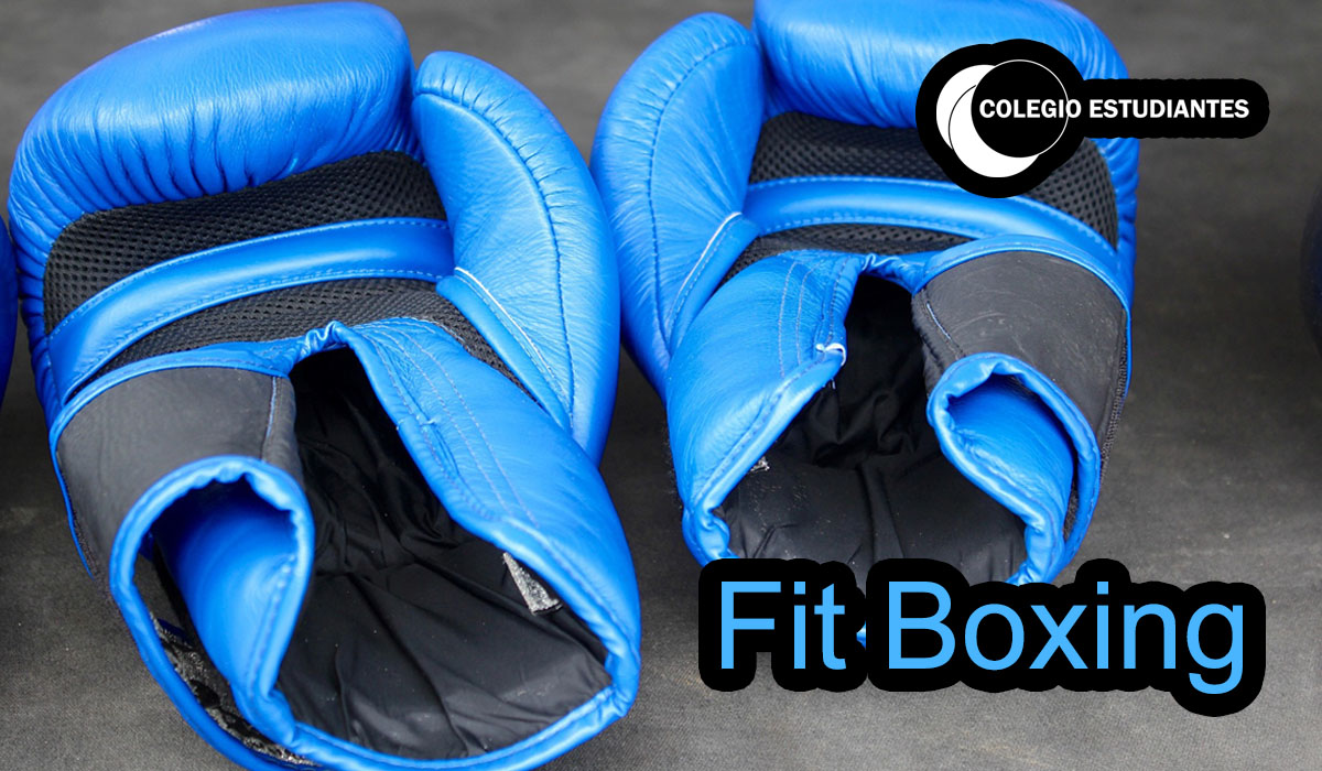 Fit Boxing