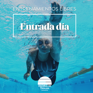 Entrada día